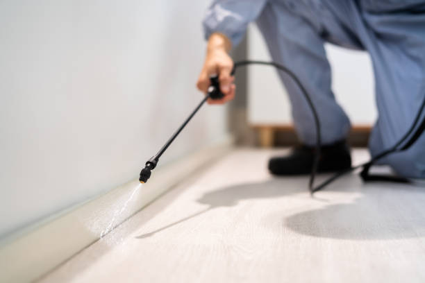 Licensed Pest Control service in Richmond, UT - Show Me Pest Control